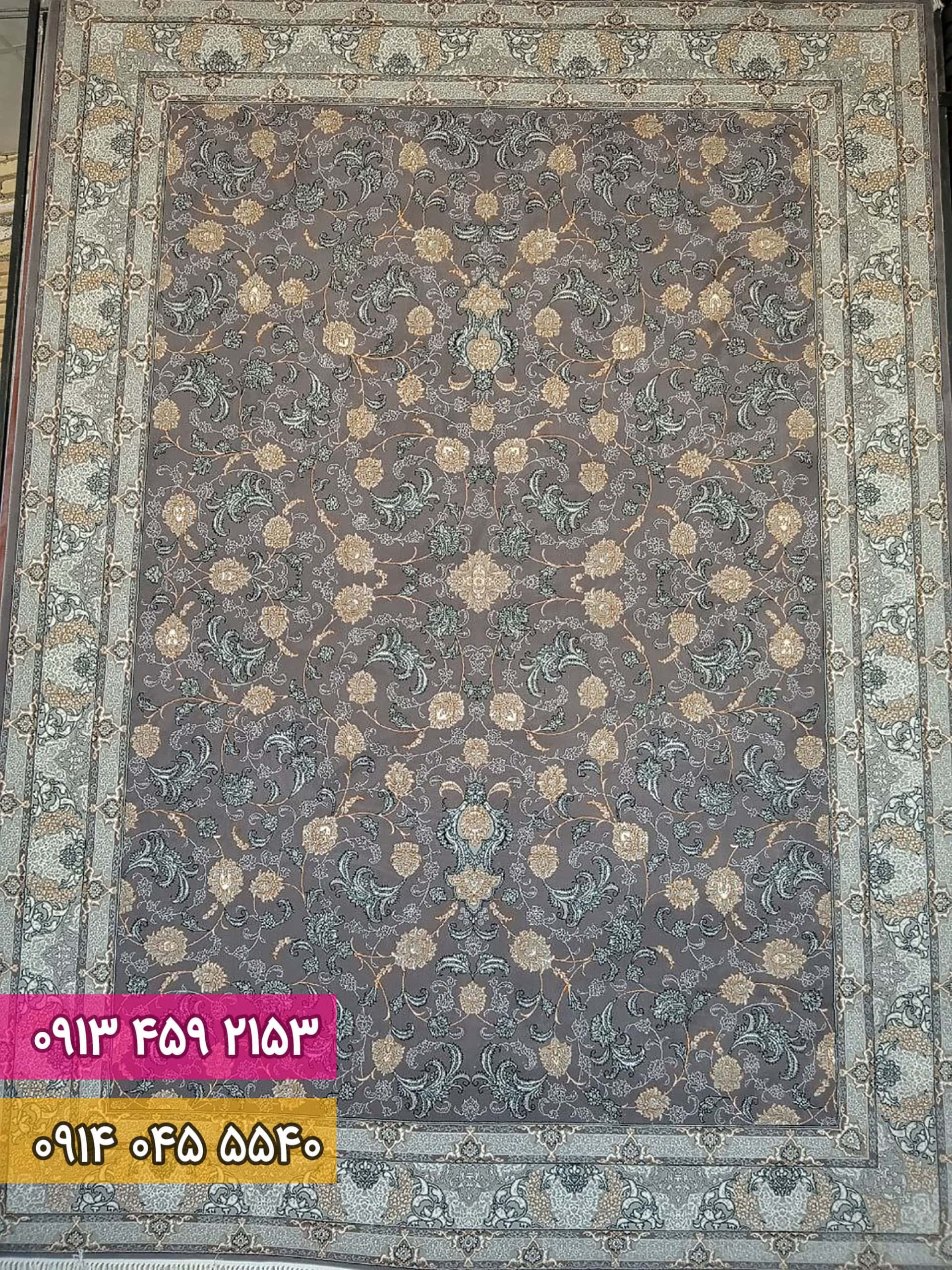 افشان تماشا دودی