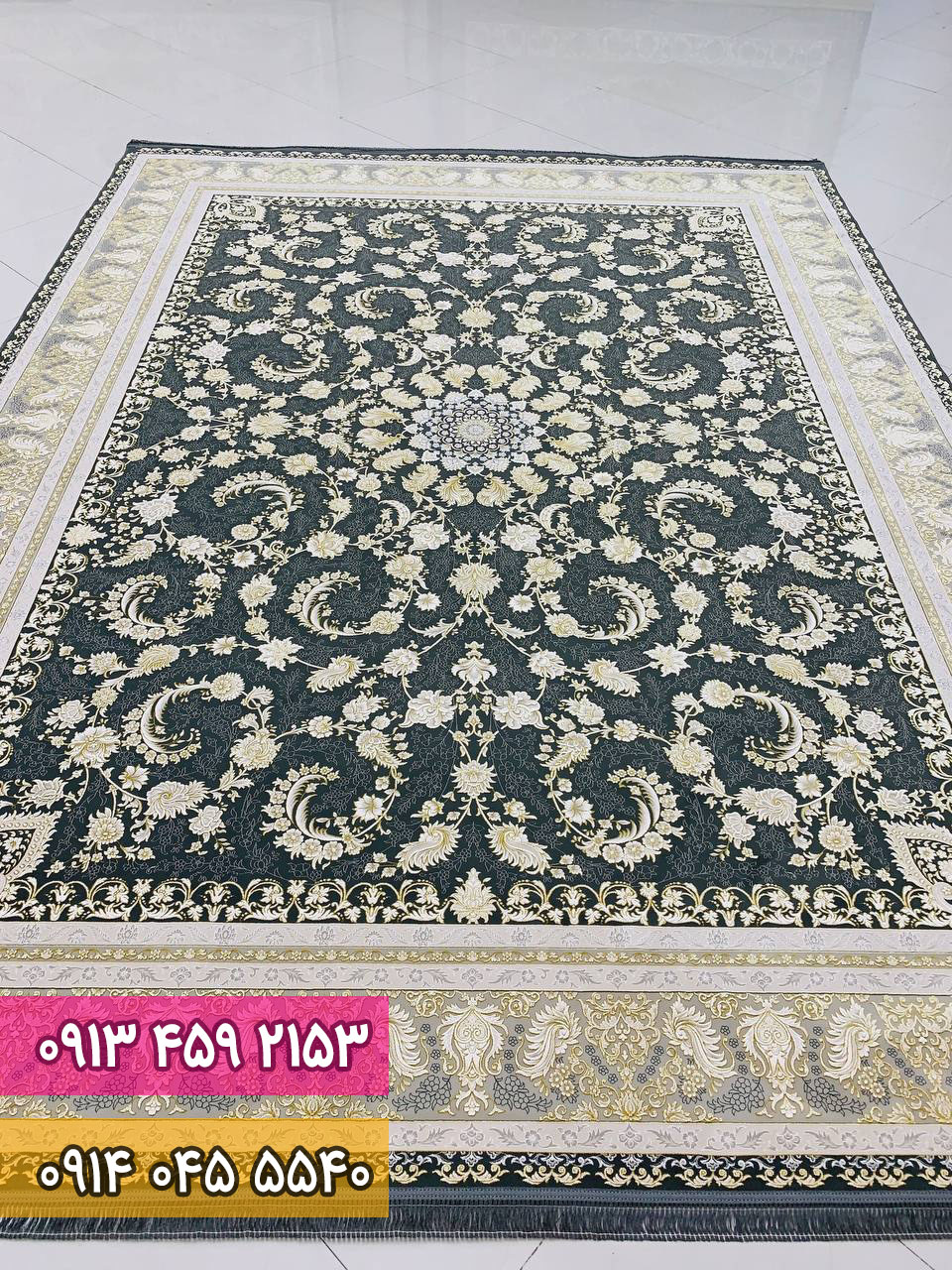 گلوریا دودی 1