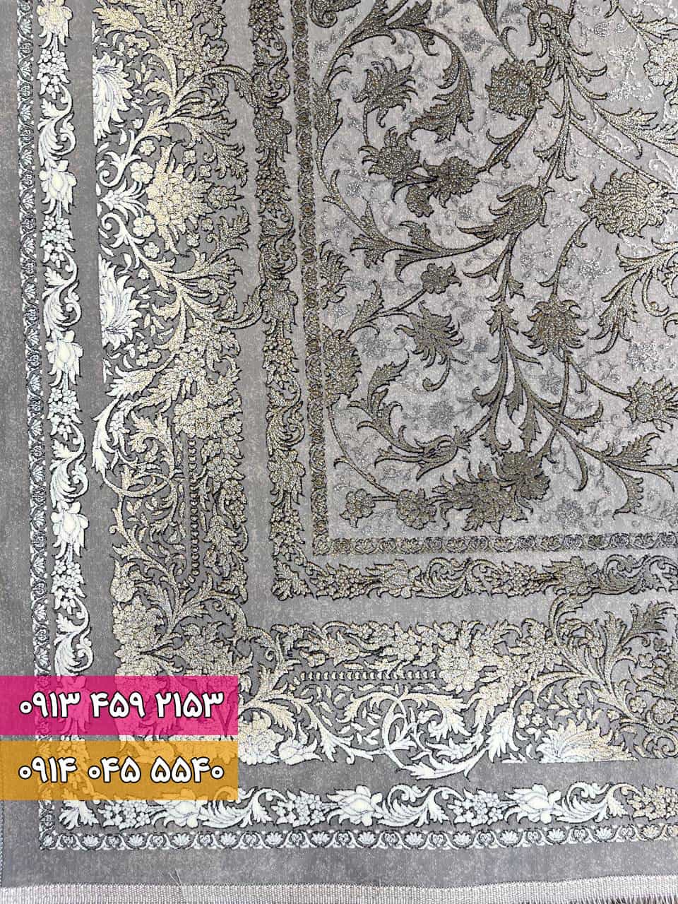 رونیکا فیلی 1