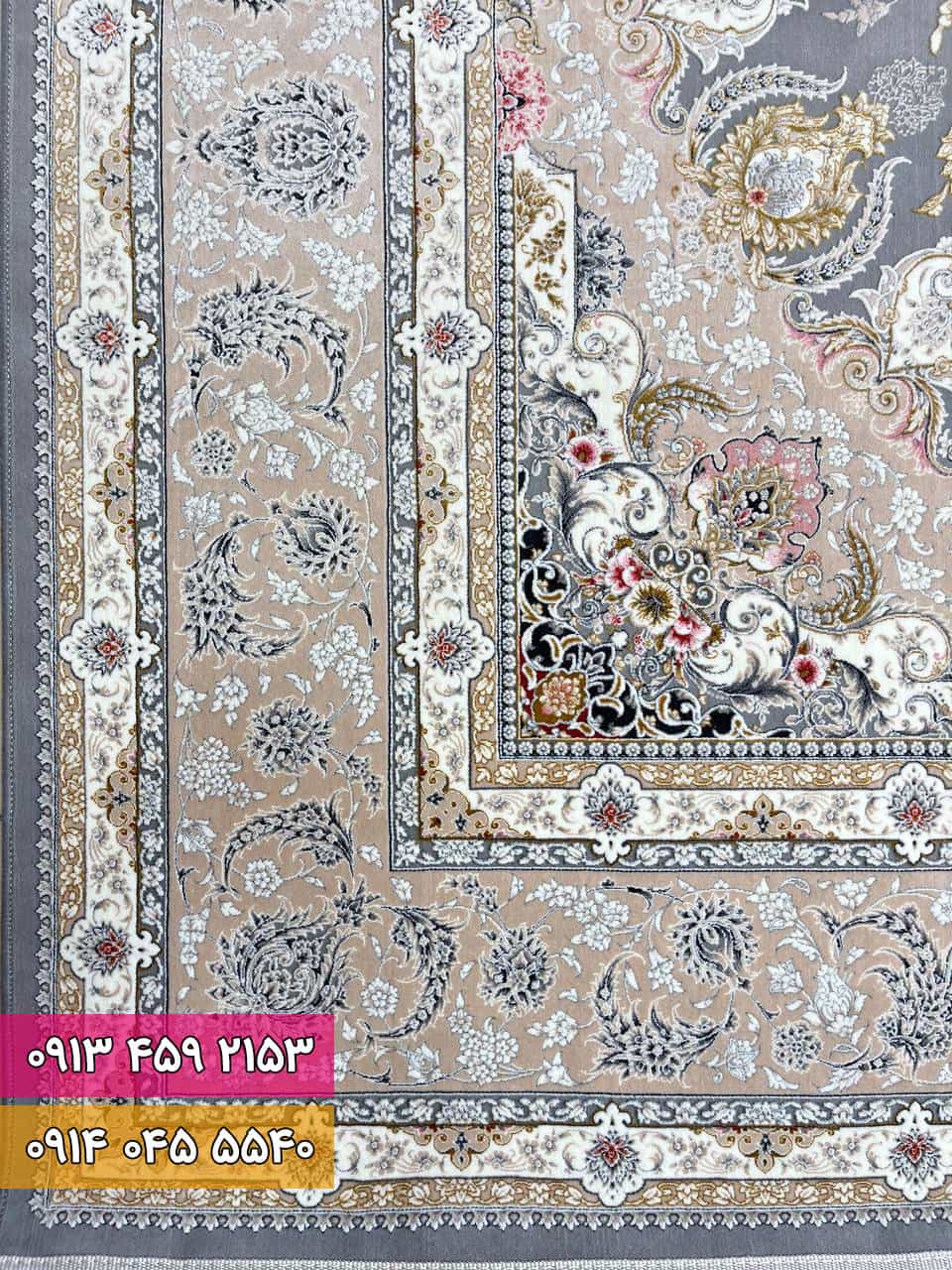 مهدیس فیلی 1